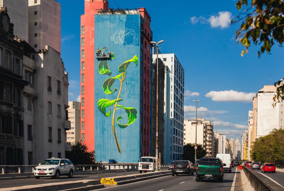 PipaPacii's tweet photo. Picturi murale ca manifest pentru protejarea mediului #cool #urban #art https://t.co/QsEHQzrWEk https://t.co/dOMyLxvKXT