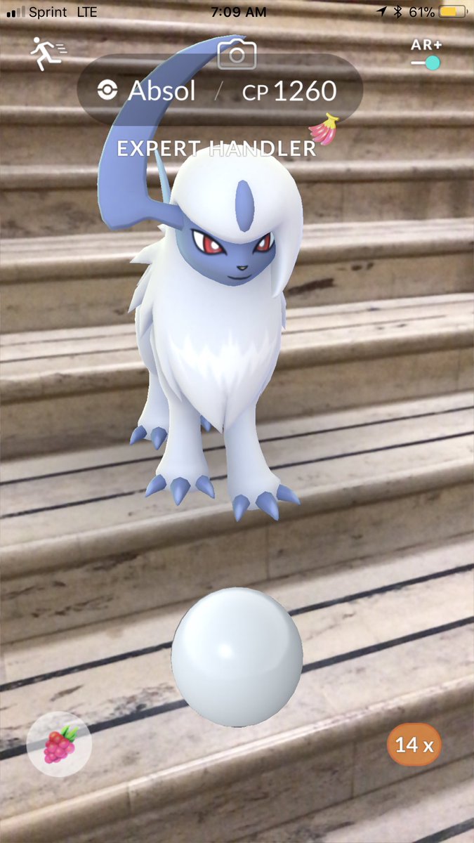 sara_snacks's tweet image. #Absol #ExpertHandler #pokemongoarplus