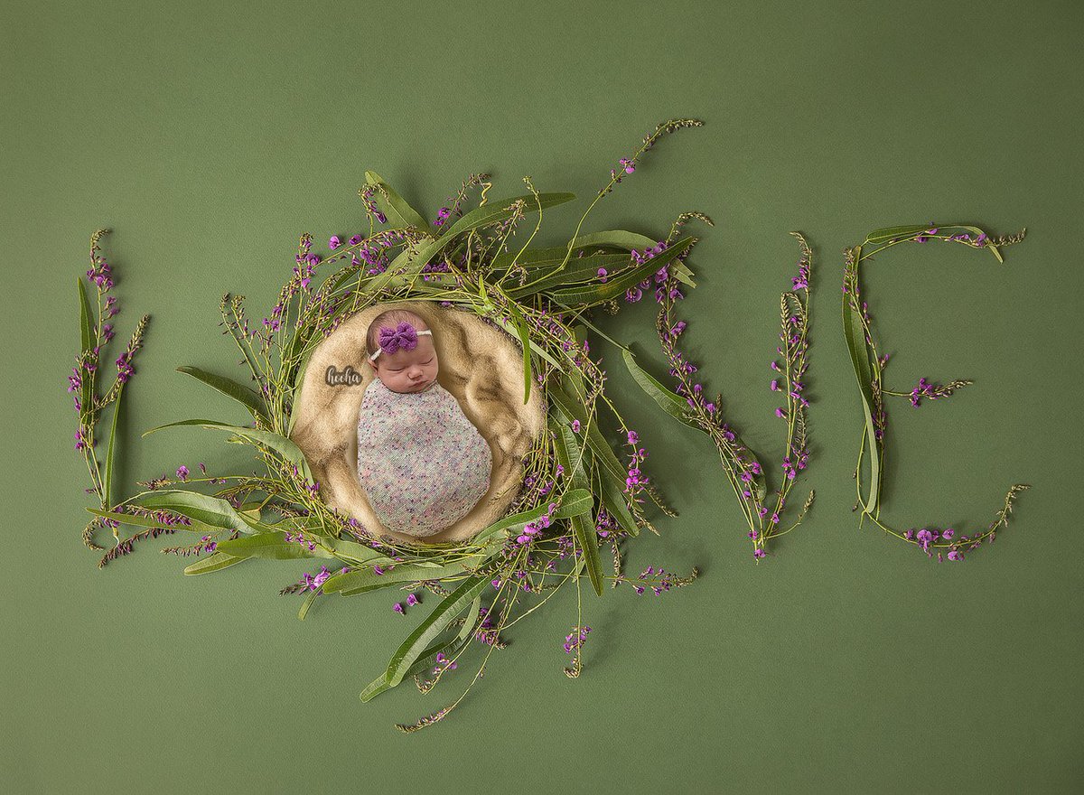 HoohaPhotos's tweet photo. Happy Valentines Day! <3 <3

What are you feeling loved up with today? 
#loveisintheair #valentinesday #lovemyjob #lovemychildren #babylove #newbornbaby #pregnant #maternity #babydue #babyphotographer #babyphotos #sheffbusiness #Sheffieldissuper #childrensphotographer #sheffield https://t.co/Wnn6z4EuSu