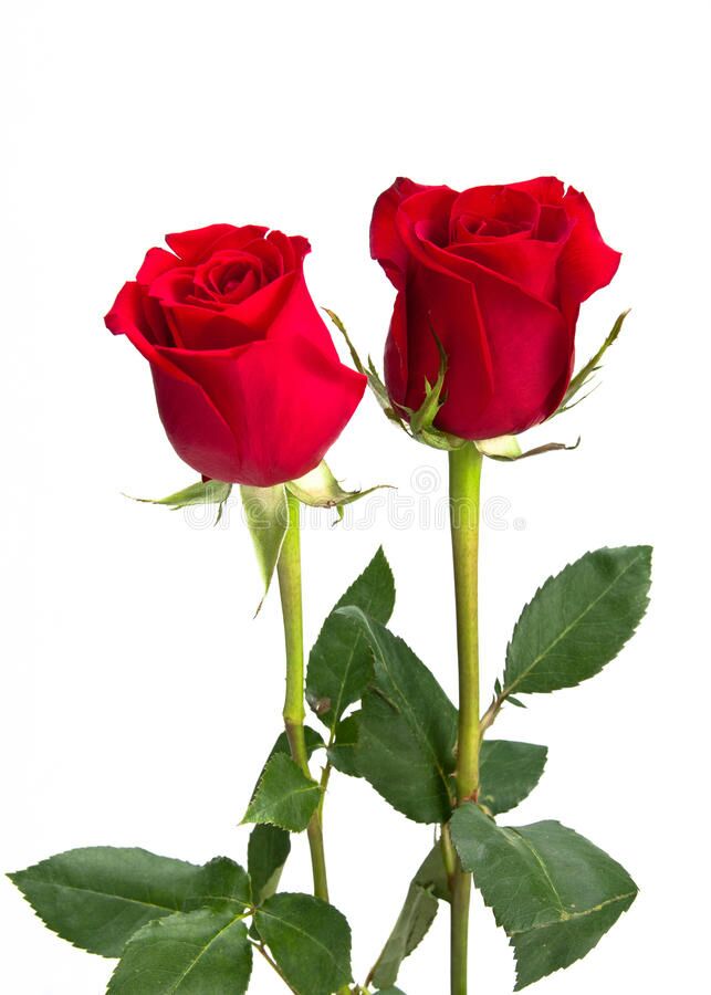 Integraciontty's tweet image. Carta para @Jamesuist