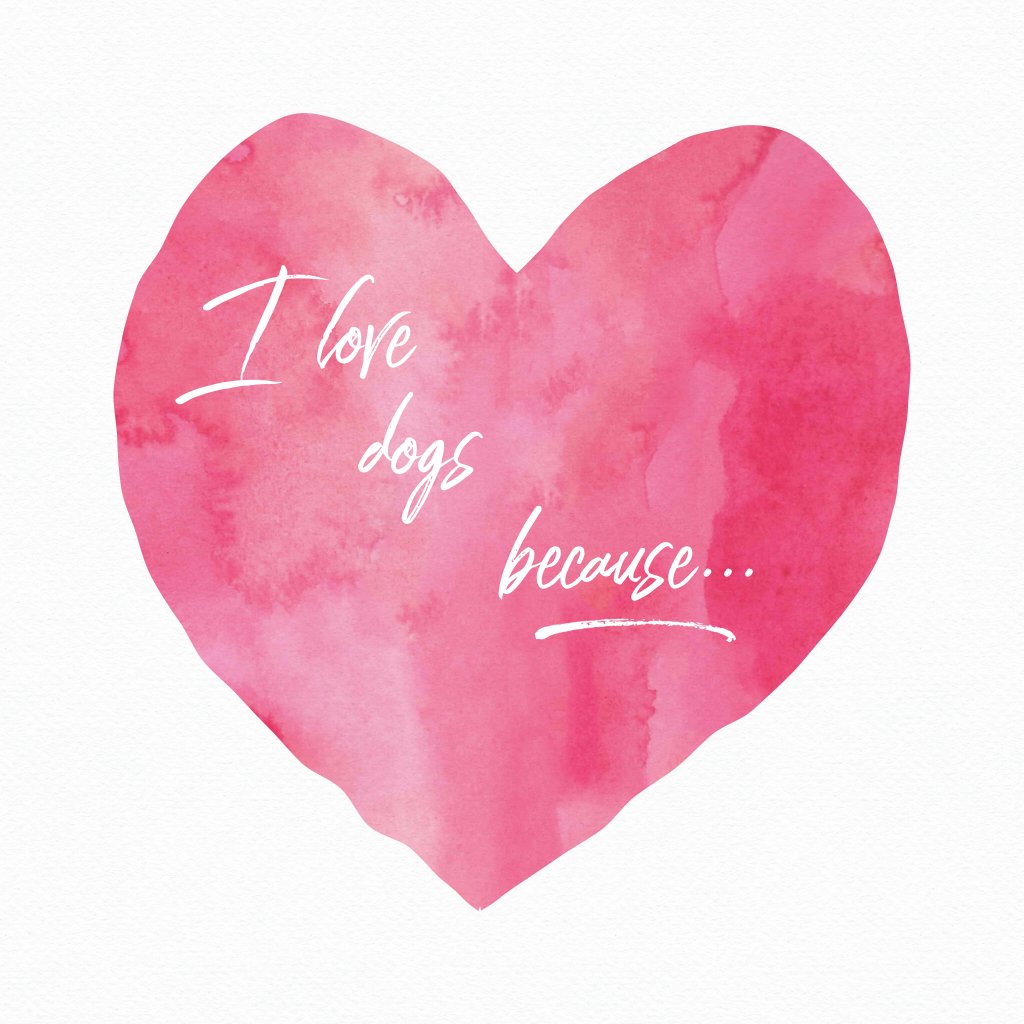 Finish the sentence........

#lovedogs #dogsarefamily #mansbestfriend