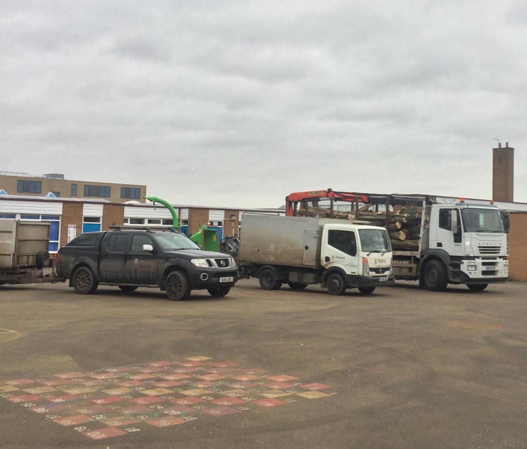 Haine Tree Services tweet media