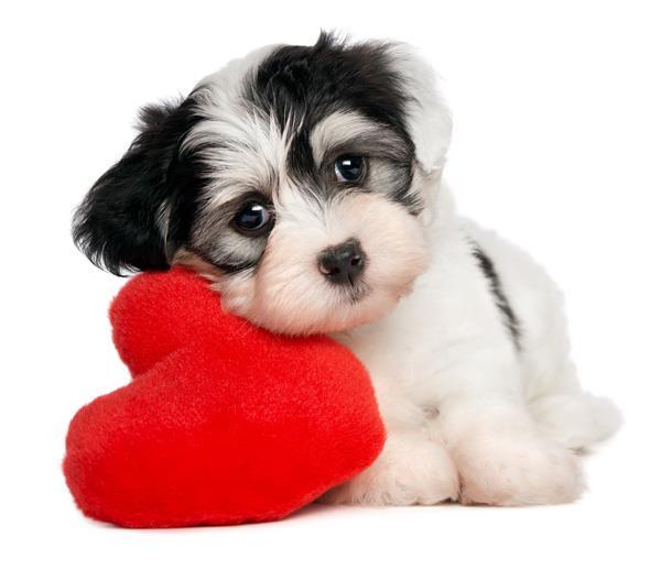 BrittonHardware's tweet photo. Roses are red, violets are blue. We're lucky to have customers just like you. Happy Valentine's Day! https://t.co/CX55C2rnSC