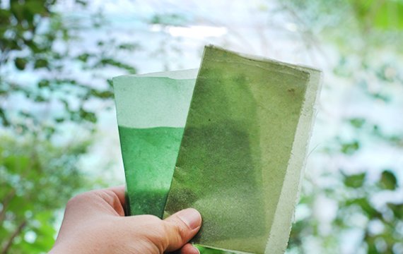 NewPlasticsEcon's tweet photo. Seaweed-based packaging that could replace billions of smalls bits of plastics with a nutrient boost. @Evoware were one of our #CircularDesign Challenge winners and are now part of @TBPInnovate accelerator programme. https://t.co/OwoaIPZoso https://t.co/WjpUzaDRV3