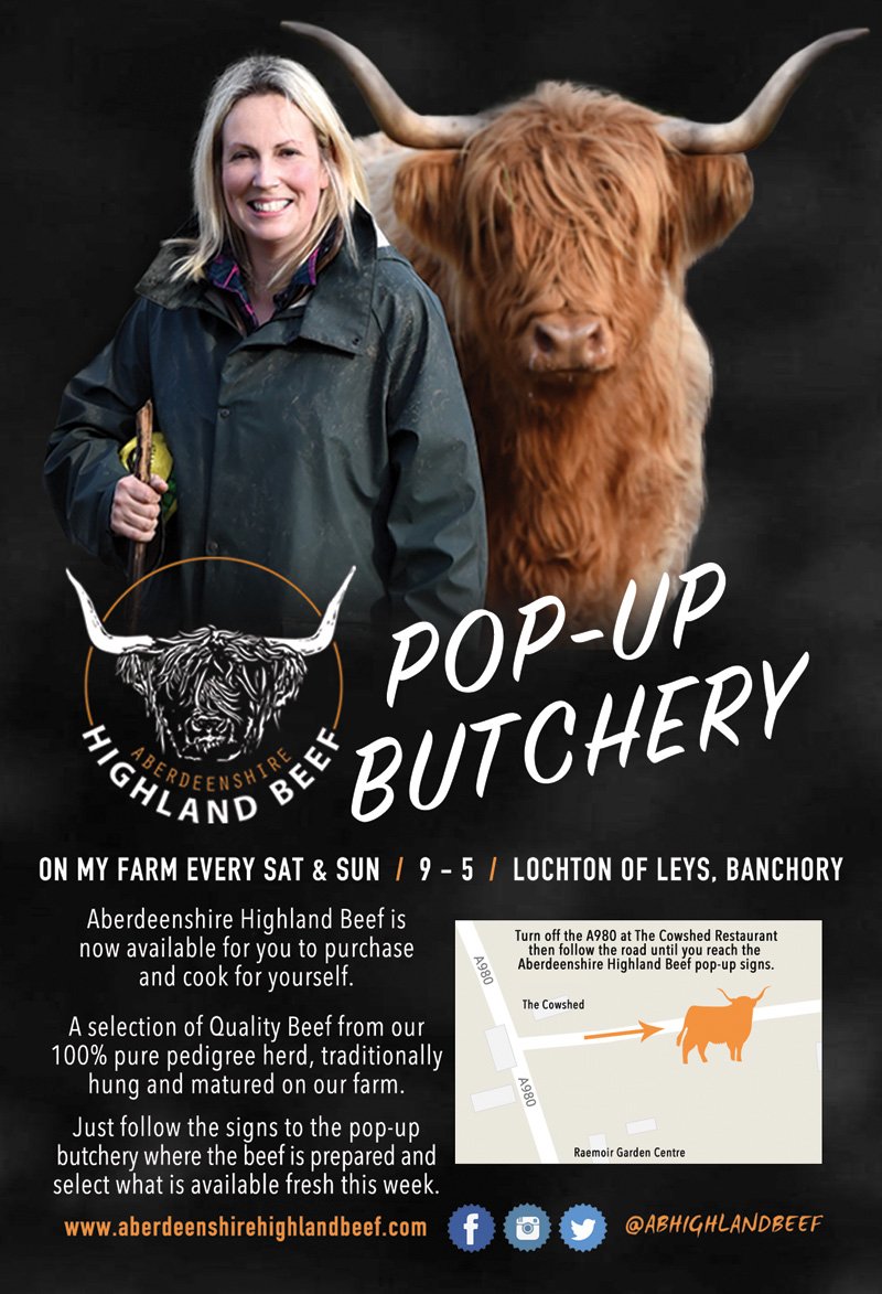 Aberdeenshire Highland Beef tweet media