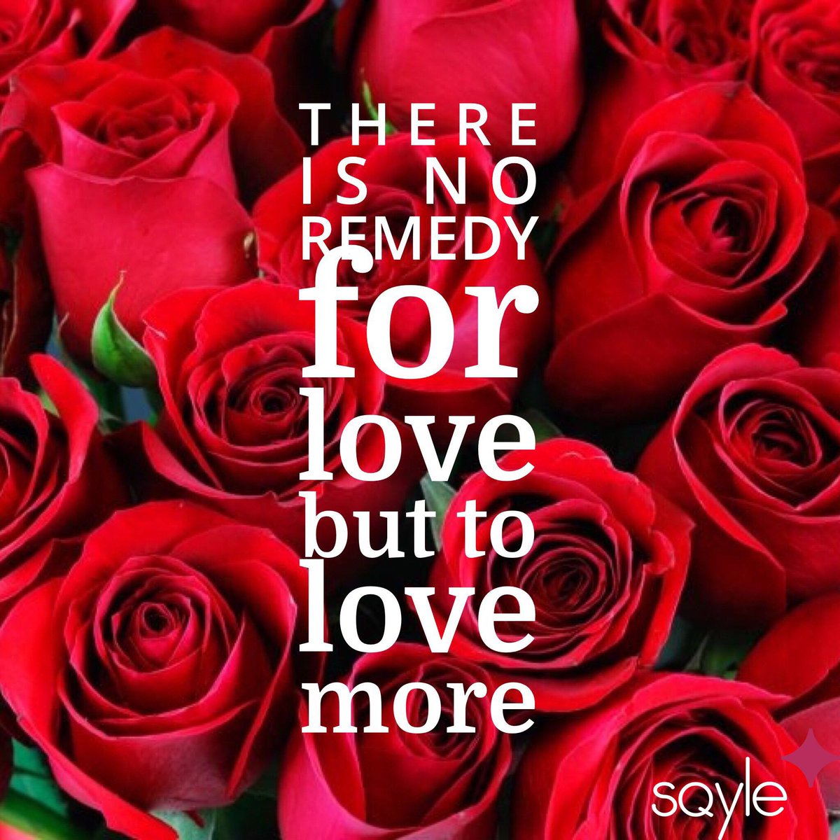 SqyleApp's tweet photo. Happy Valentine's Day! 💘❤️✨💞
Ever thought how to make your life better? Here is our advice to you! #datebetter #lovebetter #sqyle https://t.co/P72sdt8sXY https://t.co/IumRDOaVsu