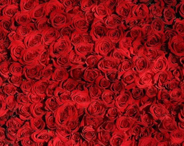 Wakazi's tweet photo. Wakazi - Valentine's Massacre Mixtape #DroppinTomorrow https://t.co/s6z5QWXdx2