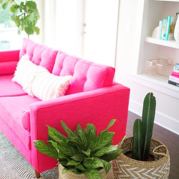 SpiralDesignCO's tweet photo. Happy ❤️ Day!!! #hotpink #moreplants #valentinesdecor #pinkcouch #growsomething #designwithlove #brightandhappy #spiraldesigncolorconsulting https://t.co/TVnsZRllbY