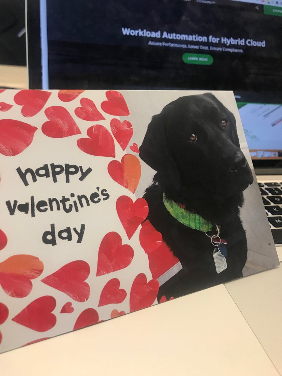 TurbonomicLife's tweet photo. Sometimes, your office dog is just thinking about you... #HappyValentinesDay to the Turbo dogs, employees, customers, and partners who we love working with every single day. #TurboNation #LifeAtTurbonomic https://t.co/xTbMQ3Pja1