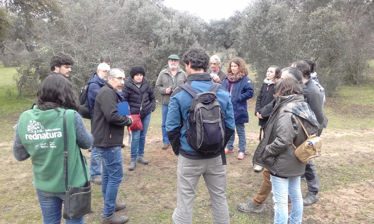 Gonzalo Palomo tweet media