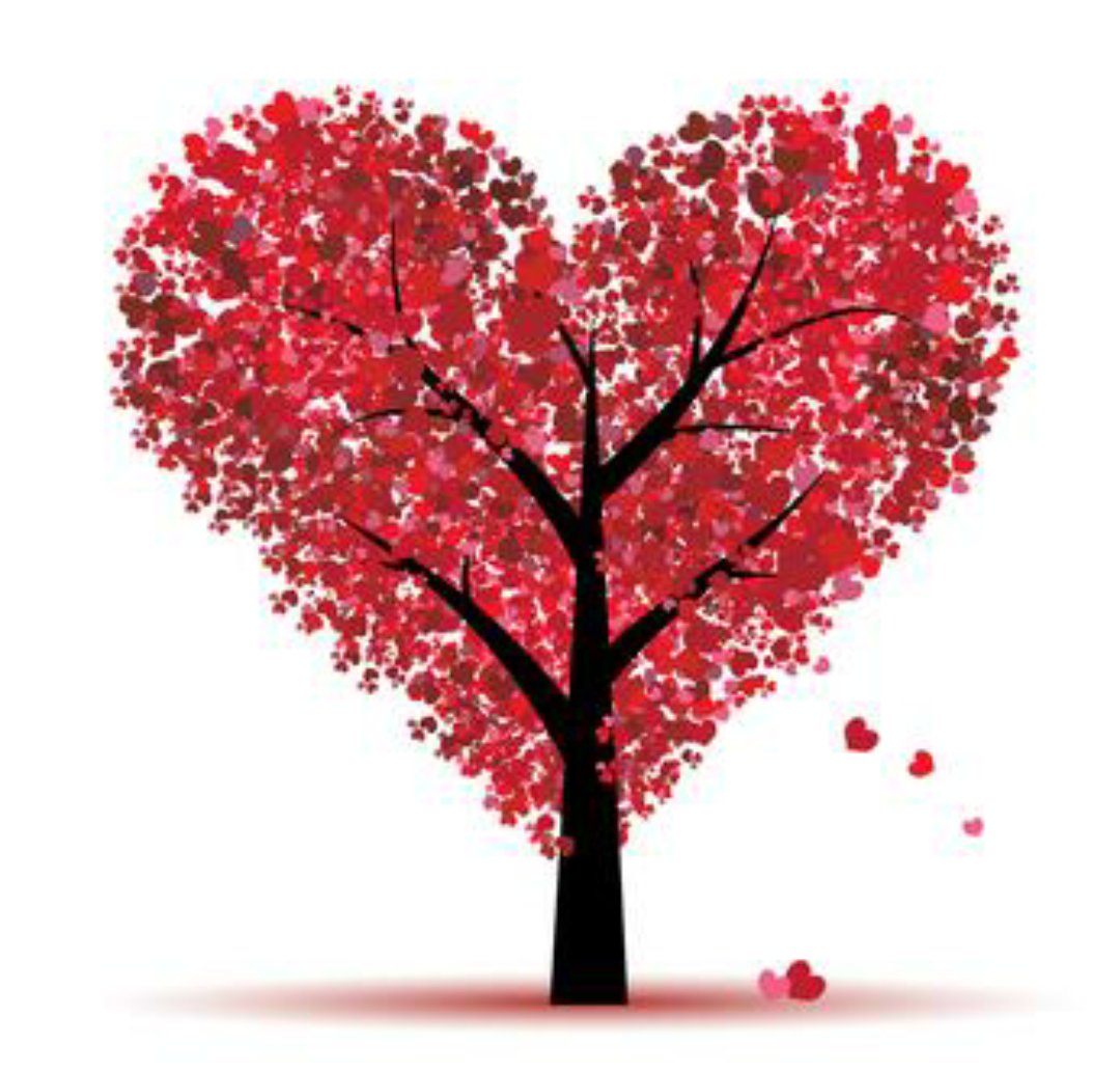 acmitchell3's tweet image. 