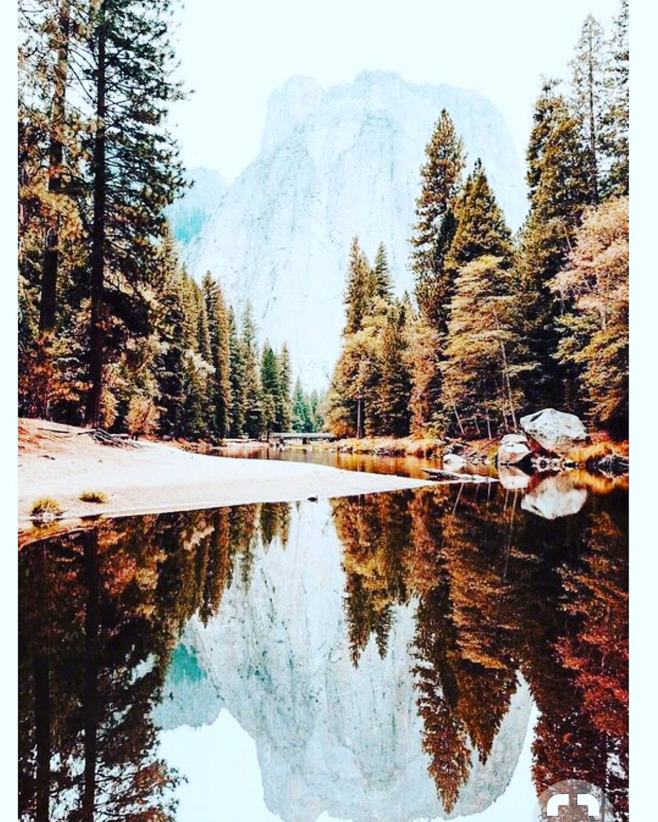 80Saida's tweet image. 