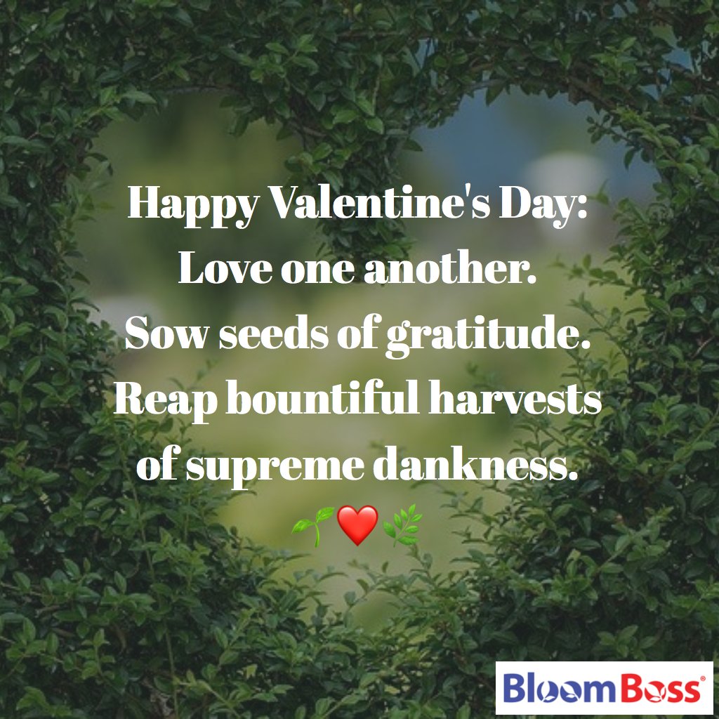 BloomBossGrowLights tweet media
