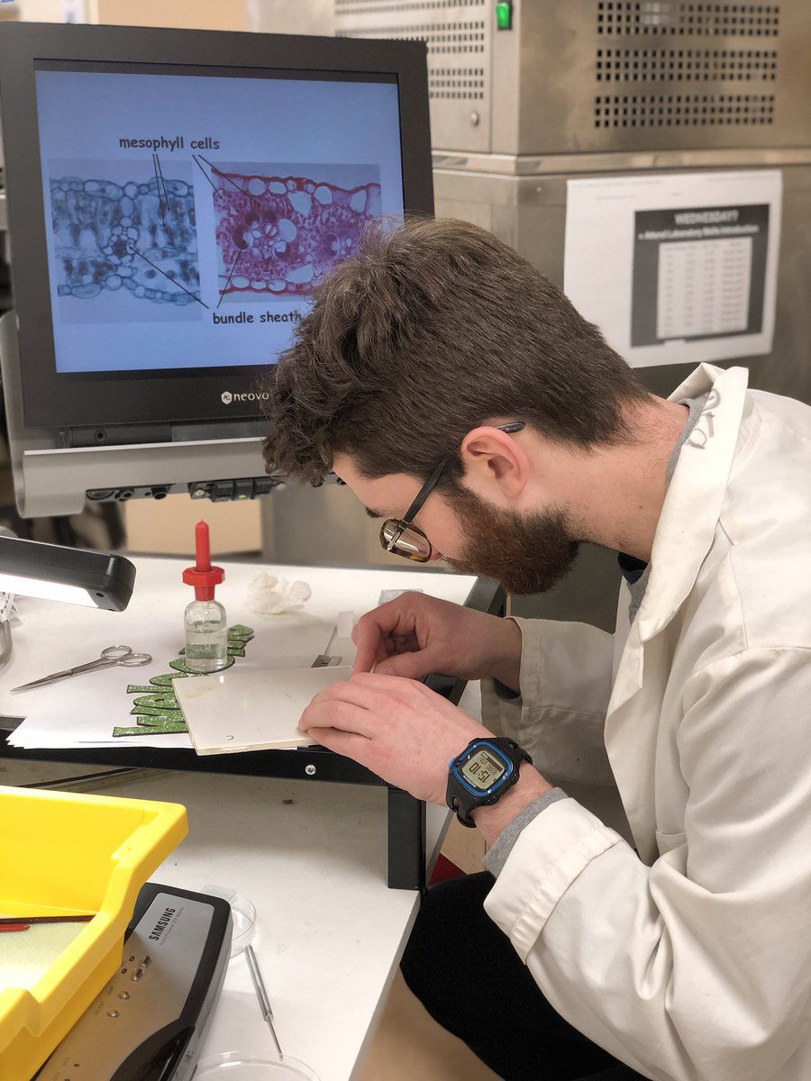 Happy Valentines day SPPGers! We’ve spent the day hand sectioning C3 and C4 plants with some @SheffieldAPS undergrads #playtime