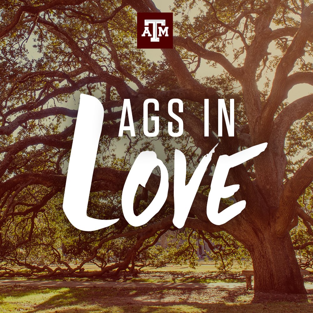text "Ags in Love" on photo of Century Tree