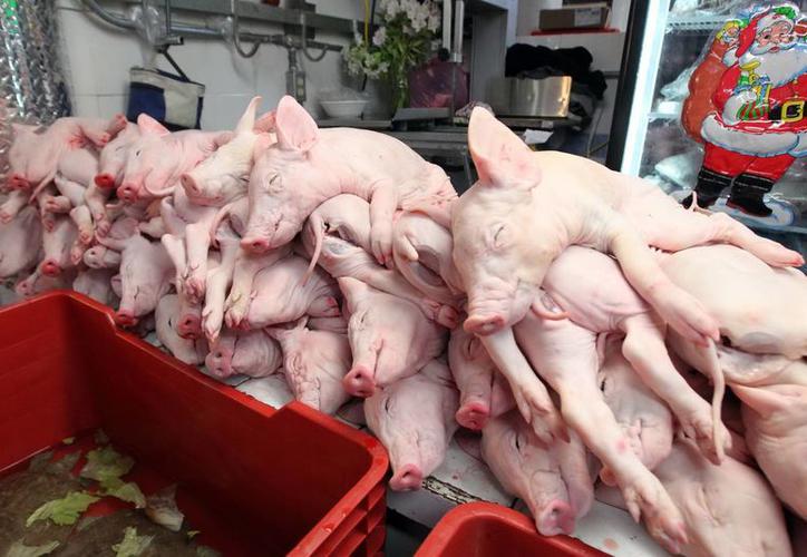 highbalace_emp's tweet photo. Se contagia México por el mortal virus de diarrea porcina
Ver mas: https://t.co/UEUGHjm0rL https://t.co/ANmqJ1zKsE