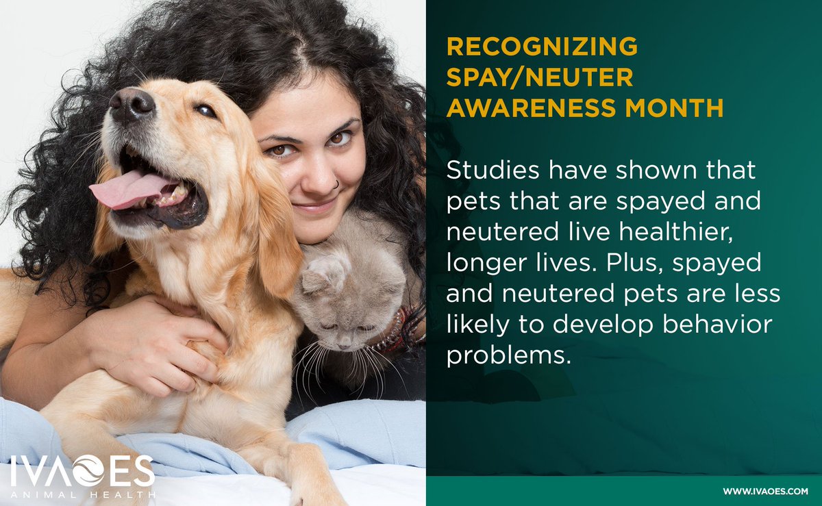 IvaoesAH's tweet photo. #Spay/NeuterAwarenessMonth https://t.co/g6F0m8bY0J