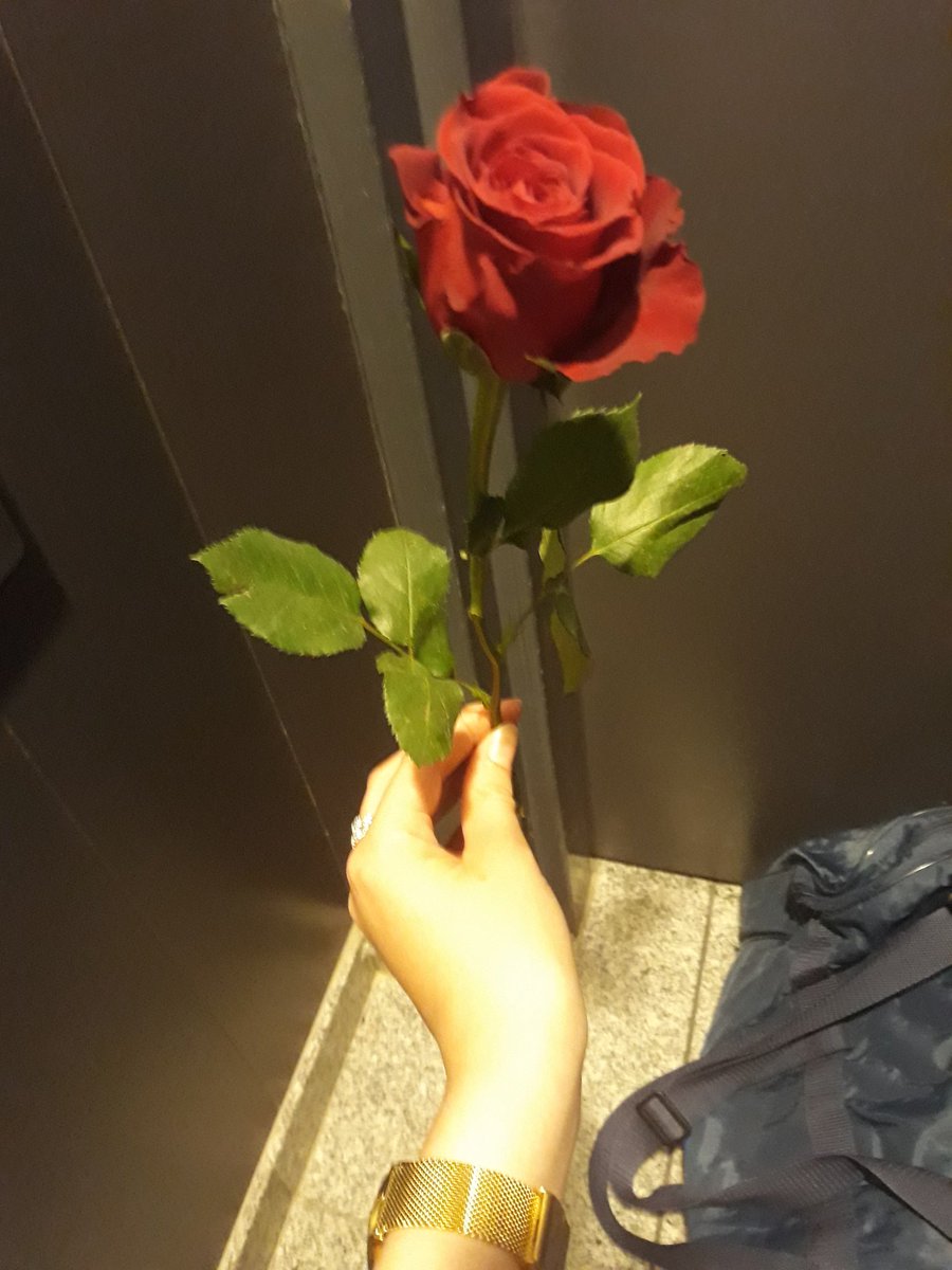 Jasmien_AD's tweet photo. Bedankt voor de leuke attentie @BrusselsAirport ⚘❤ https://t.co/Mo4mBpvCCi