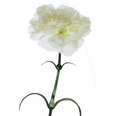 Integraciontty's tweet image. Segunda carta para @Sybill_PT