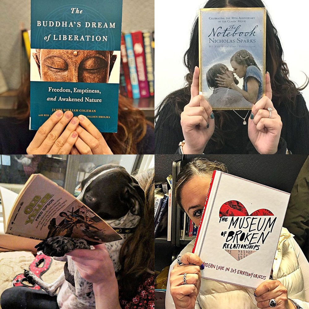 QPLNYC's tweet photo. What’s the book that broke your heart, got you through your last breakup or taught you everything you need to know about love? Share a picture with us for #ValentinesDay2018 & tag it with #BrokenHeartWeek! https://t.co/nK8plAPtik #bookface #ValentinesDay https://t.co/JlXiLZKbOV