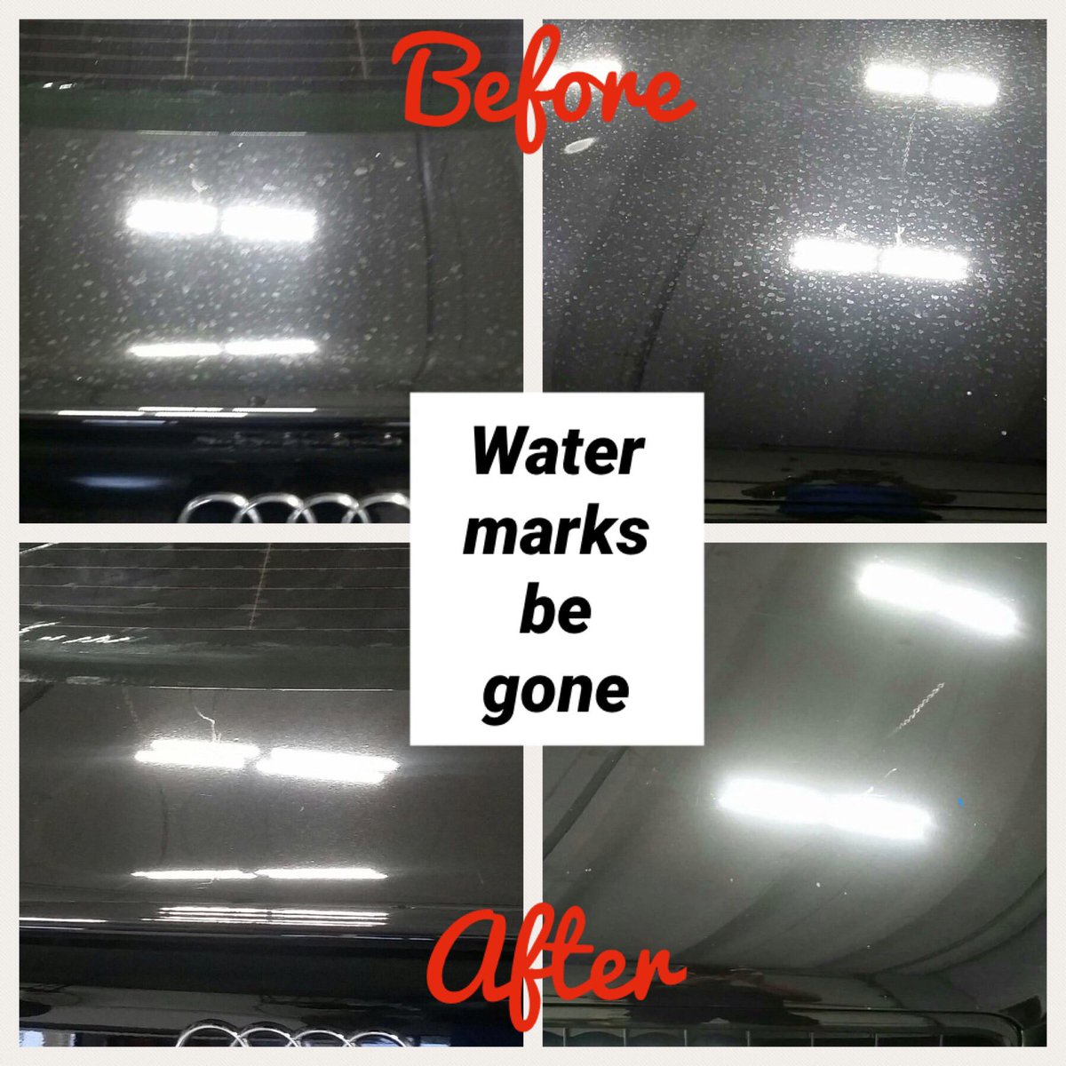 shieldbright's tweet photo. On Valentine’s Day - give a gift to your love one that will be a daily reminder of your thoughtfulness. A Shield Bright treatment to remove water marks or swirl marks on any car! https://t.co/3QChdKHouQ