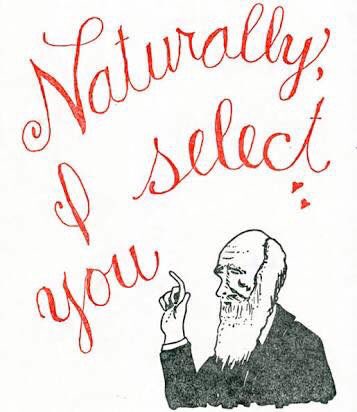 PSW_Lab's tweet photo. @PSW_Lab  wishes you all a pleasant day full of #love to every person who affected positively the life of another! Love is #hormone based (true) but it’s based on the appreciation to the little things others do for us. 
 
#Valentine #LoveIsLoveEveryDay #appreciation #research https://t.co/KvLokSoGob