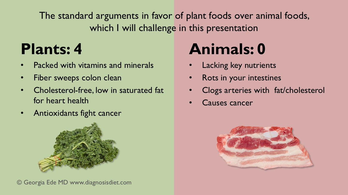 Ede MD on Twitter "Opening slide from Plants vs