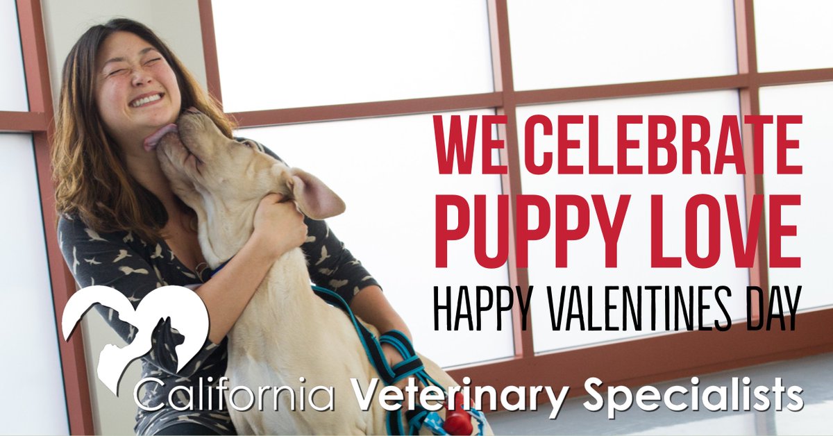 CalVetSpec's tweet image. Isn't puppy love adorable?! Sharing this sweet moment of Dr. Zingale and her sweet pup. #Puppysmooches
