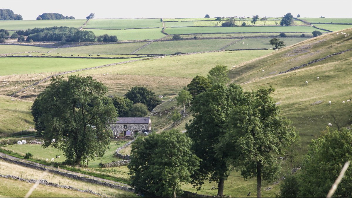 Hiked around Derbyshire to photograph for the forth coming companion book to the “If Walls Could Talk" Dry Stone Walling documentary.

The book is nearly written and will be out next year.
#derbyshire #drystonewall #DryStoneWalling #documentary #hiking #Countryside #drystone