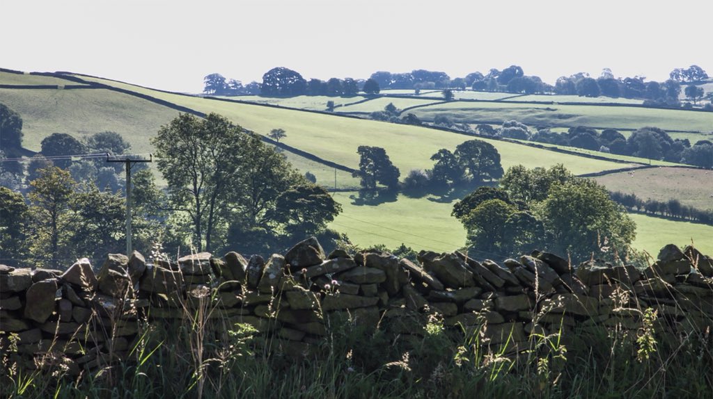 Hiked around Derbyshire to photograph for the forth coming companion book to the “If Walls Could Talk" Dry Stone Walling documentary.

The book is nearly written and will be out next year.
#derbyshire #drystonewall #DryStoneWalling #documentary #hiking #Countryside #drystone
