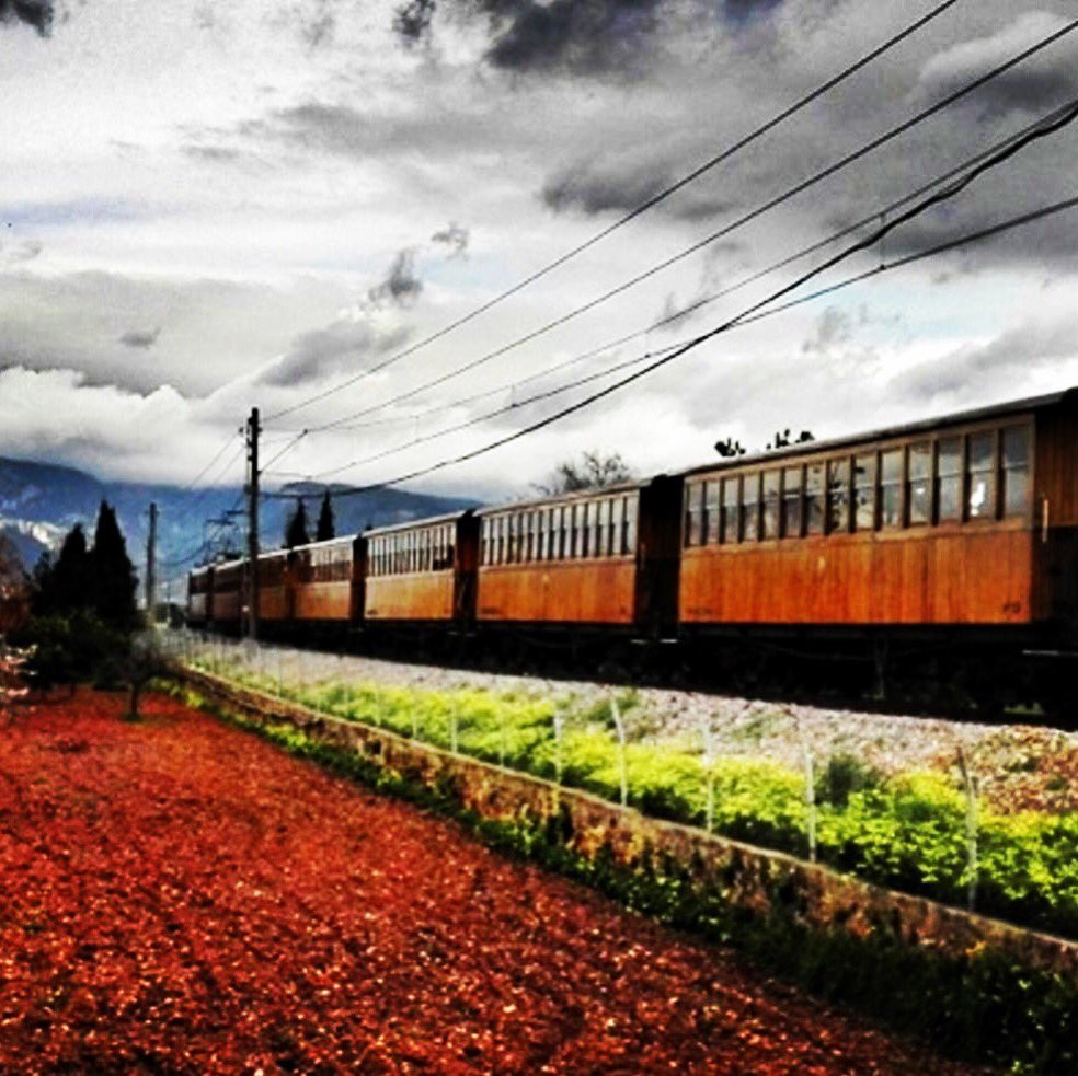 StephenRocheCycling tweet media