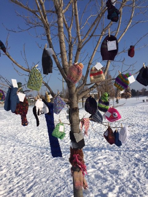 SeanYaoYR's tweet image. Outdoor Winter Well-Being Celebration @HighgatePS in partnership with the Woollen Warmth Project. #SOARwithus #watchusSOAR #warminwinter #communitypartnership @Camillelogan @YRDSB @YRDSBCECEast