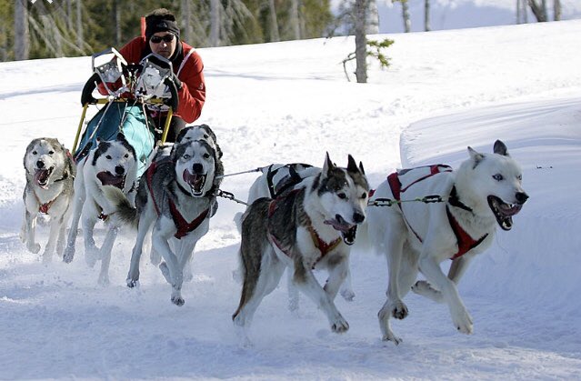 BrianFriesen76's tweet photo. Welcome to Trappers Festival #ImWithTheHuskies #GoodDeedsCup https://t.co/eeWqwGPM5W