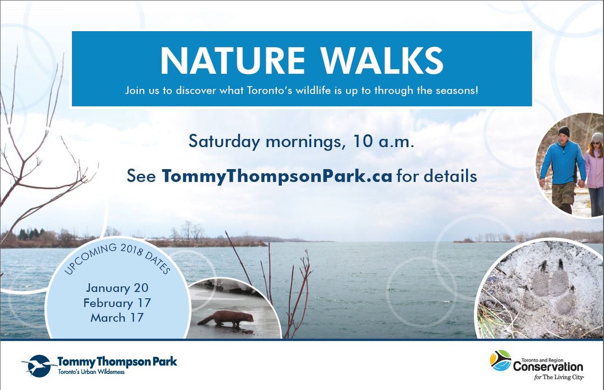 Breathe in the fresh winter air on a Nature Walk at #TommyThompsonPark this #weekend! Get outside and enjoy the season! Saturday, February 17 at 10 a.m. 
tommythompsonpark.ca/events/ #walk #event #winter #nature #longweekend