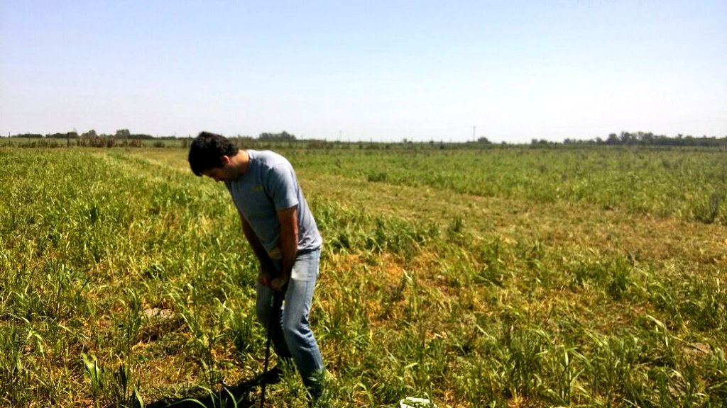 NutrienIyDSurAR's tweet photo. ➡️ Para producir más y mejor forraje se debe realizar una buena fertilización. 
➡️Para lograrla debemos conocer el estado del suelo a través de su análisis. 
En ASP Lincoln ya comenzamos. https://t.co/k6ZX368Zyn