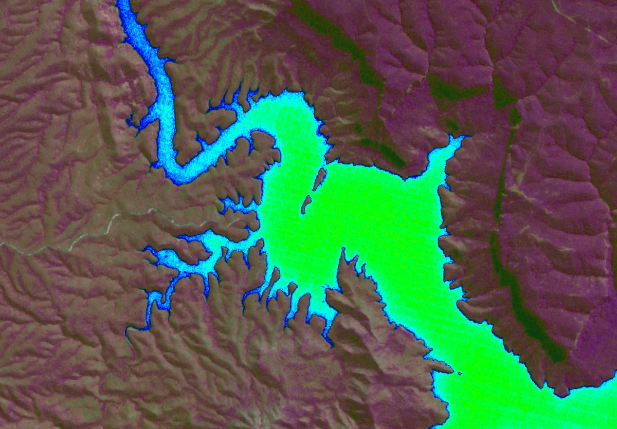 paul_haesler's tweet image. Lake Burragong.
Sentinel 2, normalised reflectance dataset, non-linear combination of infra-red and visible bands.
#sentinel2 #satellite #cloudfree #sydney
