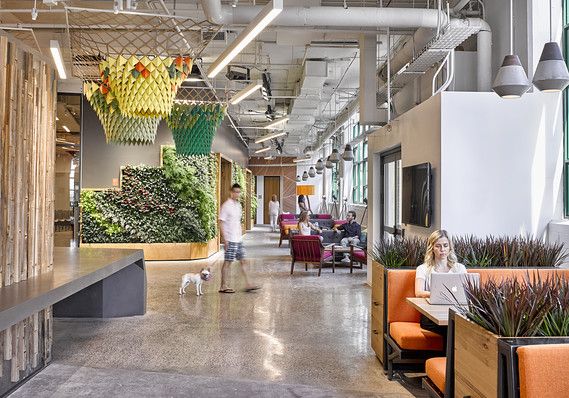 oneworkplace's tweet photo. Watercooler replaced by a waterfall? HOK integrates biophilic design to make employees more relaxed, more creative, healthier…and more productive.

https://t.co/oYqdoh7GDf

#oneworkplacehealthcare #hokdesign #wellnessdesign #wellbeing #biophilicdesign https://t.co/RaJw9FjKhc