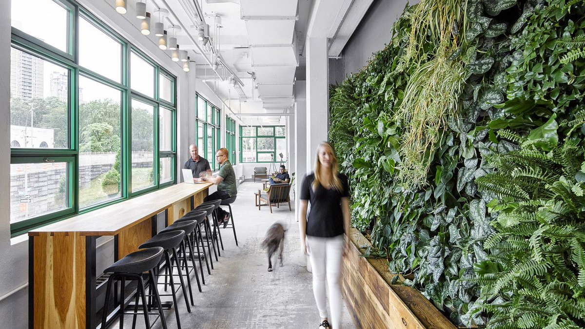 oneworkplace's tweet photo. Watercooler replaced by a waterfall? HOK integrates biophilic design to make employees more relaxed, more creative, healthier…and more productive.

https://t.co/oYqdoh7GDf

#oneworkplacehealthcare #hokdesign #wellnessdesign #wellbeing #biophilicdesign https://t.co/RaJw9FjKhc
