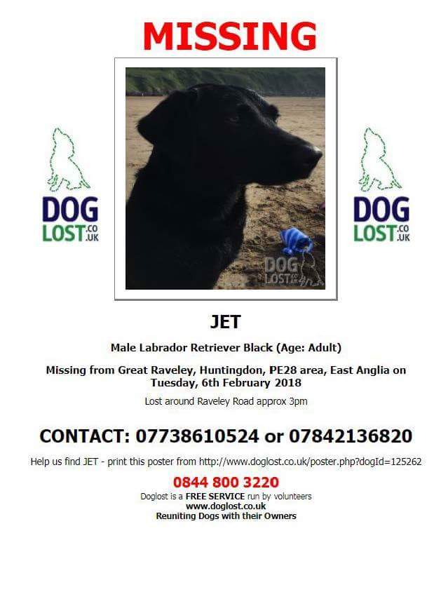 EmmaSearchForD1's tweet photo. Is it poss @StevoGreenall to do a feature om this gorgeous missing dog Jet missing from Huntingdon PE28 plzzz??We need to publicise this as his family are heartbroken. I cam provide a contact 4u๐ถ #findmissingjet ๐พ https://t.co/wodvE88owK