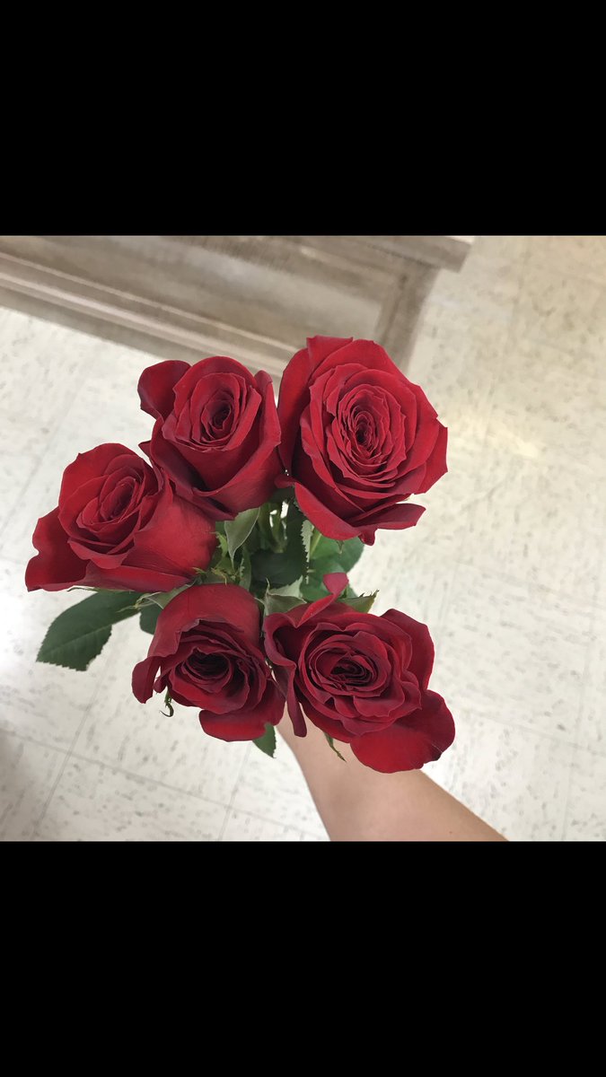 AlphaGamGC's tweet image. Thank you @KA_Georgetown for the roses!❤️❤️❤️