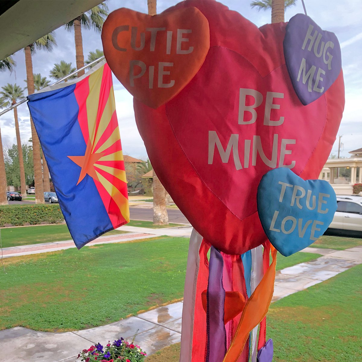 Do something sweet for Arizona Statehood Day! Go to outlawdirtymoney.com/volunteer so a petition can be rushed to your door.  #HappyValentinesDay #Happy106thBirthdayArizona