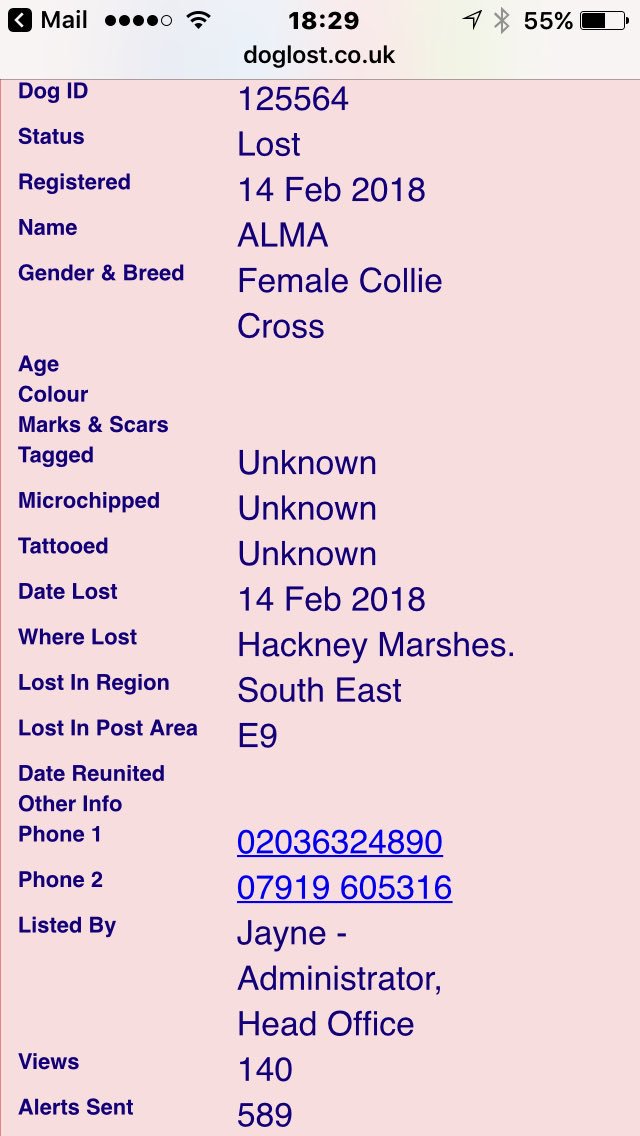 MissingPetsGB's tweet image. #Alma #lostdog #today #E9 area #London via @DoglostUK Help please x