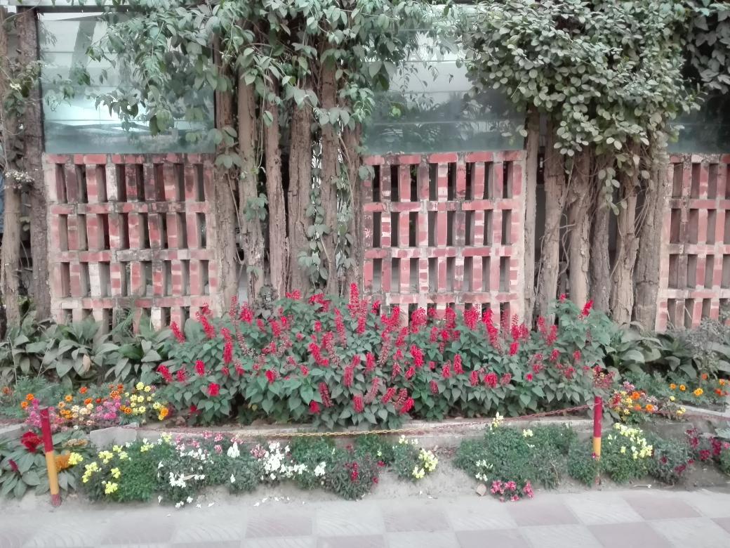 o_winter_bear_o's tweet photo. I am late... Bt it doesn't mean the spring is over in Bangladesh... I have waited the whole winter... Spring is also here... Where r u? When I will meet u guys?? @BTS_twt
Miss uโคโคโค
#1YearOfSpringDay
@officialbts_bd
#iHeartAwards #BestFanArmy #BTSArmy https://t.co/djB1woSQF5