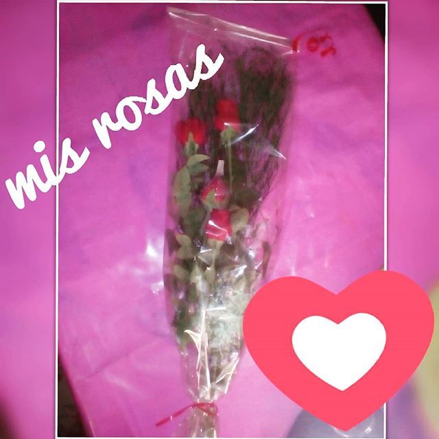 cenicienka's tweet image. instagram #quelindo #ramoderosas #felizdiadelosenamorados ift.tt/2EGVqDa