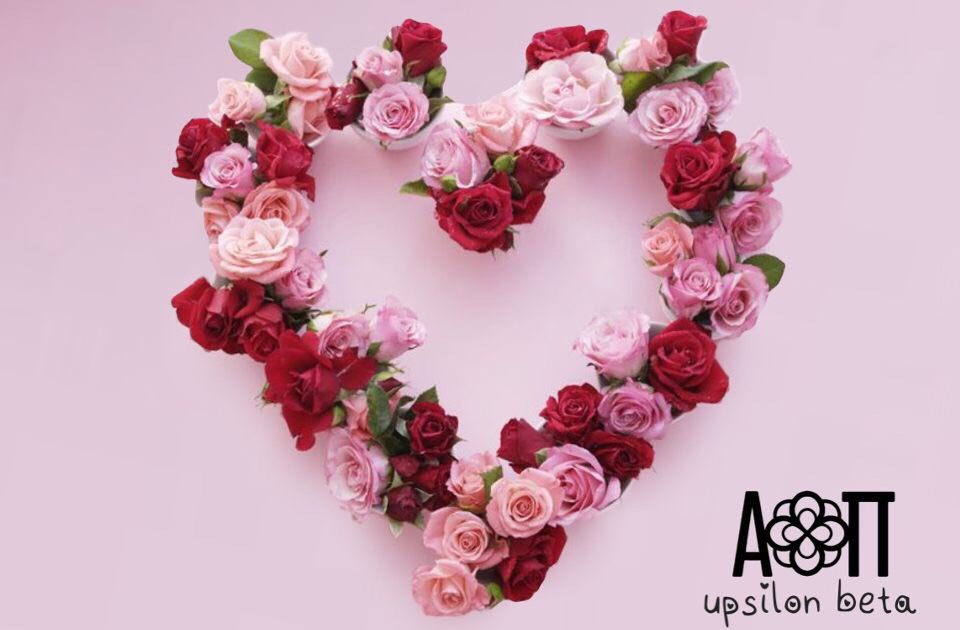 Alpha Omicron Pi tweet media