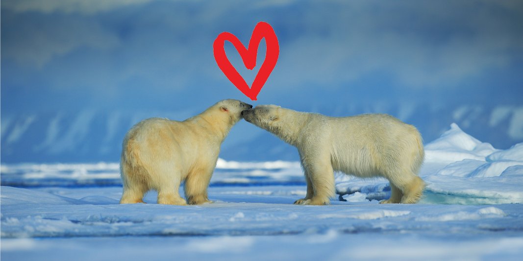 exploretours's tweet image. We hope you're having a love-filled Valentine's day. We got a little sappy and pulled together some adventures that can double as date-night (or date-week) inspired by #alaskalove #HappyValentinesDay bit.ly/2F2QCpj