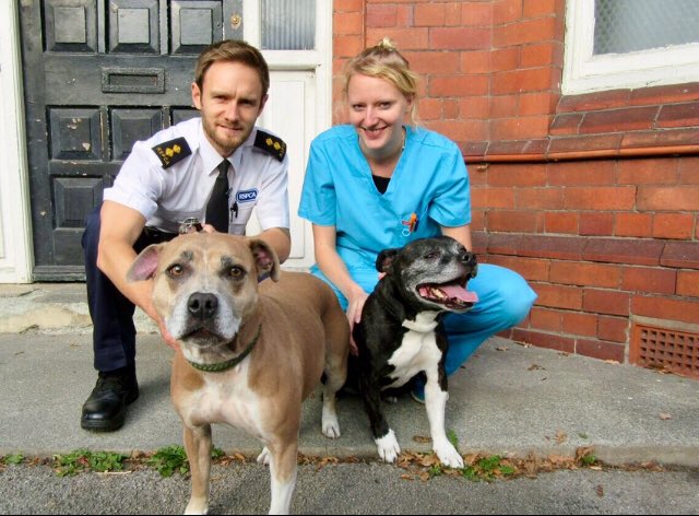 joynes85's tweet photo. Really saddened that Kiya &amp; Kane’s reserve has fallen through.They still desperately deserve their 2nd chance as they approach 500 days in our care.Plz RT far &amp; wide &amp; lets try and find the right person for these beauties @RSPCA_official @rickygervais @DrBrianMay @TomFletcher https://t.co/MRyGQ7Gv4n