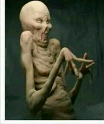 MicNovacek's tweet photo. That champagne played a vital role like piano melodies in her clitoris #UyangthandaNa https://t.co/M0oGBmmCc7
