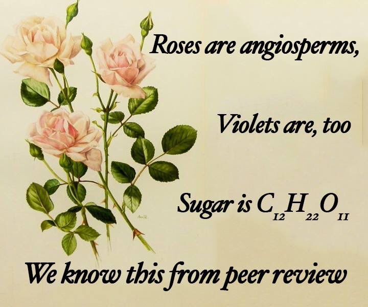 KerryPHolmes's tweet photo. Oldie but goodie #WomenInSTEM #WomenInScience #Amightygirl #HeForShe #valentinesday https://t.co/BO6AHvXOb8