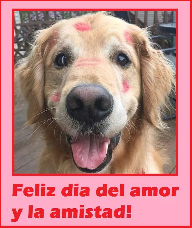 _JonTxo's tweet photo. https://t.co/T8XqLMeyEU